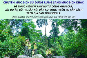 'Chuyển mục đích sử dụng rừng sang mục đích khác