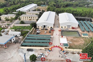 'Nâng cao năng lực cạnh tranh, đồng hành cùng doanh nghiệp