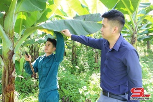 'Tập trung khai thác tiềm năng, thế mạnh của địa phương