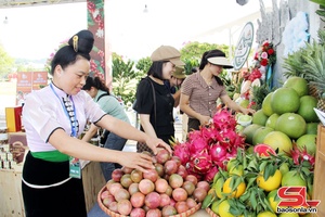 'Sắc màu OCOP chào mừng Đại hội Đảng bộ tỉnh