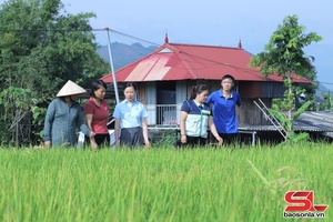 'Tăng cường kiểm dịch thực vật, bảo vệ cây trồng