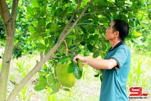 'Đổi thay từ những mô hình kinh tế hiệu quả