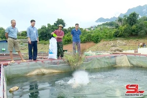 Chiềng Lao đẩy mạnh phát triển kinh tế vùng lòng hồ