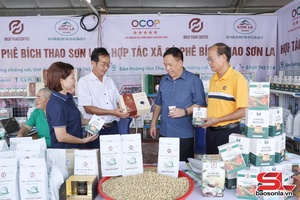 Doanh nghiệp, doanh nhân Sơn La sáng tạo - khát vọng - phát triển