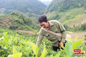 Khai thác lợi thế xây dựng mô hình nông nghiệp bền vững