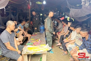 'Đấu tranh với tội phạm khai thác khoáng sản trái phép