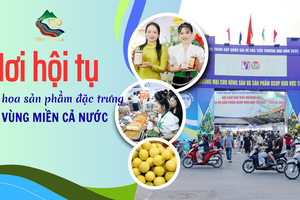 Nơi hội tụ tinh hoa sản phẩm đặc trưng các vùng miền cả nước