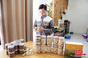 'Nhân rộng mô hình HTX nông nghiệp