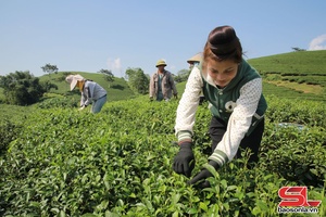 'Nhiều mô hình kinh tế ở Tân Yên