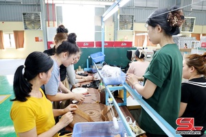 'Hiệu quả công tác đào tạo nghề, hỗ trợ sinh kế cho đồng bào DTTS