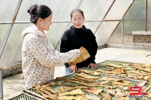 'Phụ nữ Xuân Nha thi đua phát triển kinh tế