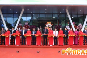 Bản tin Podcast ngày 8/11/2025