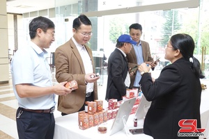 'Phát huy tiềm năng hình thành ngành kinh tế dược liệu