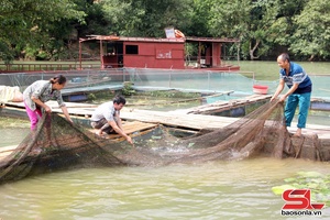 'Nông dân Tạ Khoa làm giàu