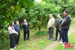 'Nâng cao năng lực số cho HTX