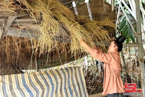 'Phòng chống rét cho đàn vật nuôi