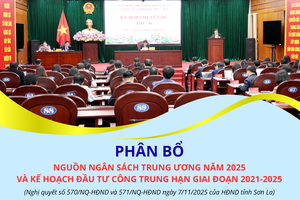 'Phân bổ nguồn ngân sách Trung ương năm 2025 và kế hoạch đầu tư công trung hạn giai đoạn 2021-2025