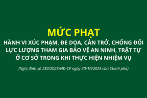 'Mức phạt hành vi xúc phạm, đe dọa, cản trở, chống đối lực lượng tham gia bảo vệ an ninh, trật tự ở cơ sở