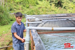 'Triển vọng mô hình nuôi cá tầm ở Mường Chiên