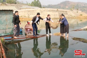 'Chung sức đưa vùng lòng hồ phát triển bền vững