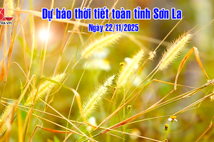 'Dự báo thời tiết toàn tỉnh Sơn La ngày 22/11/2025