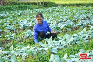 'Ứng phó với thời tiết cực đoan trong mùa đông