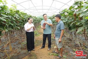 'Chủ động kiểm soát chất lượng nông sản, đáp ứng tiêu chuẩn EU