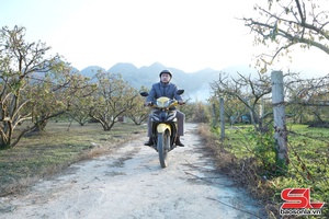 Vai trò hợp tác xã trong xây dựng nông thôn mới