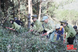 'Phòng “giặc lửa” từ xa ở Khu bảo tồn thiên nhiên Mường La