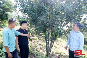 'Kim Bon ngày mới