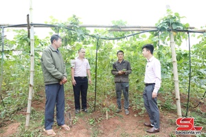 'Tín dụng chính sách - tăng thu nhập cho hộ nghèo