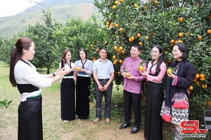 'Khi cán bộ đồng hành cùng người dân chuyển đổi số