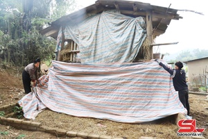 'Chiềng Sơ chủ động phòng, chống rét cho đàn vật nuôi