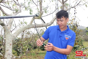 'Làm giàu trên đất dốc