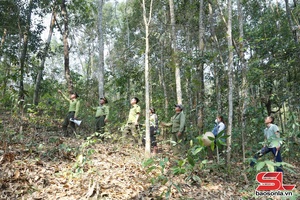 'Chủ động phòng, chống cháy rừng mùa hanh khô