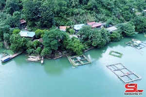 'Duy trì và phát triển nghề nuôi cá lồng
