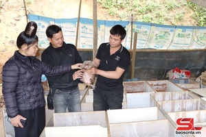 'Giảm nghèo thông tin để thoát nghèo