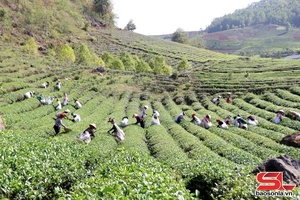 'Khám phá du lịch Bình Thuận