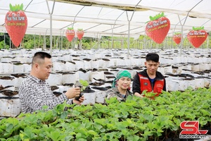 Xây dựng nền nông nghiệp hiện đại, bền vững