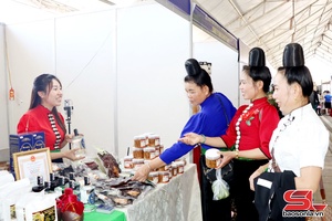 'Đẩy mạnh xúc tiến thương mại, nâng cao hiệu quả HTX