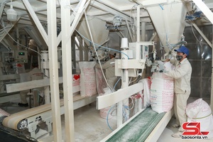 'Hỗ trợ doanh nghiệp nhỏ và vừa