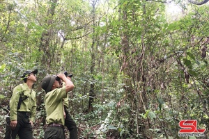 'Bảo vệ các loài động vật hoang dã quý hiếm