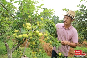'Phát huy tiềm năng thúc đẩy kinh tế phát triển