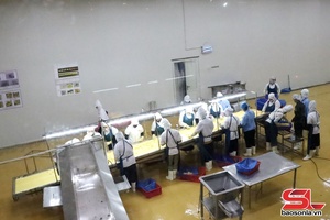 'Hàng Việt khẳng định uy tín, chất lượng