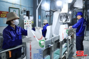 'Niềm tin và kỳ vọng của doanh nghiệp Sơn La
