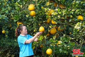 'Chọn cây trồng, vật nuôi hiệu quả để phát triển bền vững