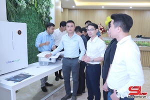 'Thúc đẩy điện mặt trời tự sản xuất, tự tiêu thụ