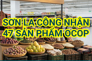 'Sơn La công nhận 47 sản phẩm OCOP