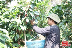 'Đổi thay Puốn Vạy