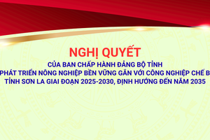 'Phát triển nông nghiệp bền vững gắn với công nghiệp chế biến tỉnh Sơn La giai đoạn 2025-2030, định hướng đến năm 2035